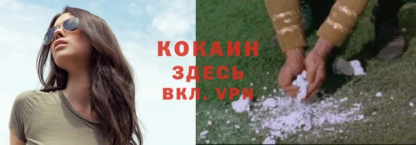 герыч Ельня