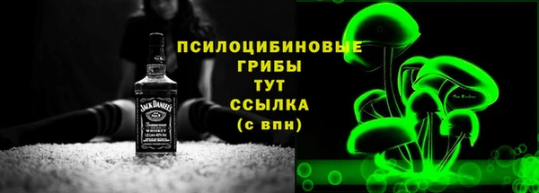 герыч Ельня