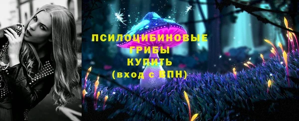 твердый Михайлов