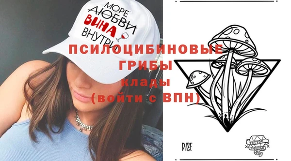 spice Елизово