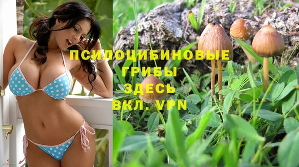 spice Елизово